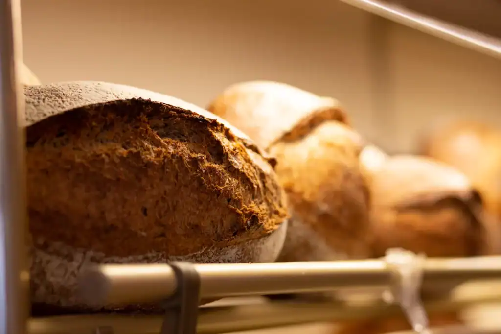 Pains au levain à la sortie du four
